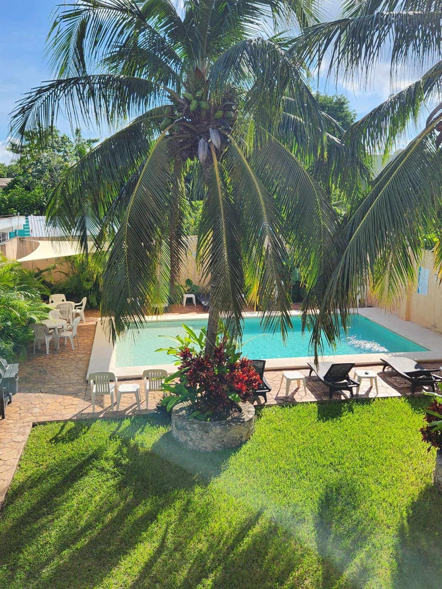 Coral Island Suites Cozumel Buitenkant foto
